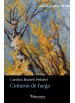501. Cinturón de fuego