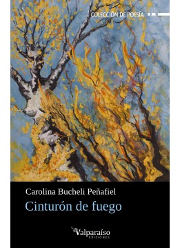 501. Cinturón de fuego