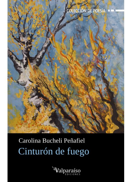 501. Cinturón de fuego
