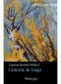 501. Cinturón de fuego