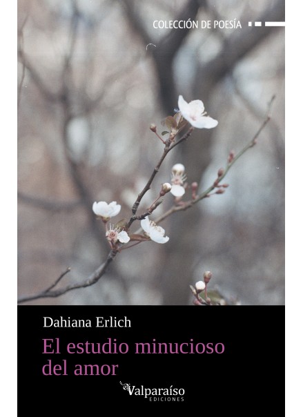 536. El estudio minucioso del amor