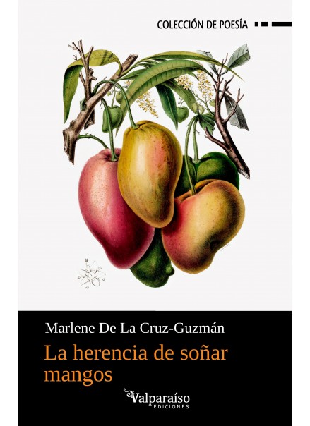 583. La herencia de soñar mangos