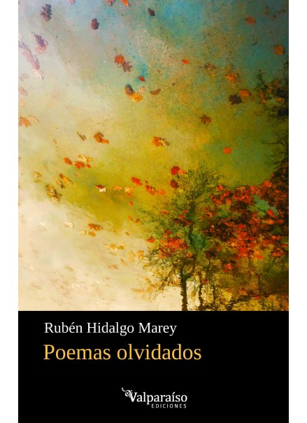 613. Poemas olvidados