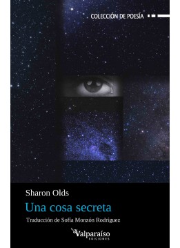 595. Una cosa secreta