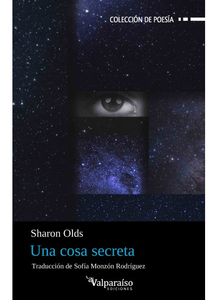 595. Una cosa secreta